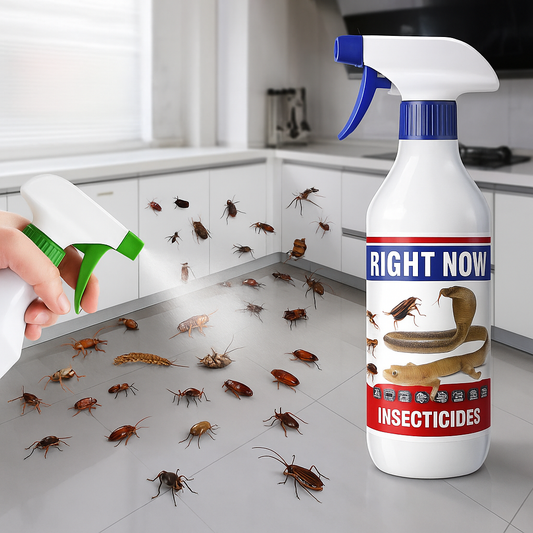 Spray Anti-Punaises et Puces
